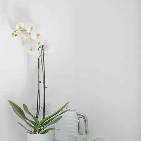 B&B Aldarogi 카프리