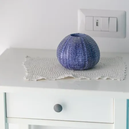 B&B Aldarogi 카프리